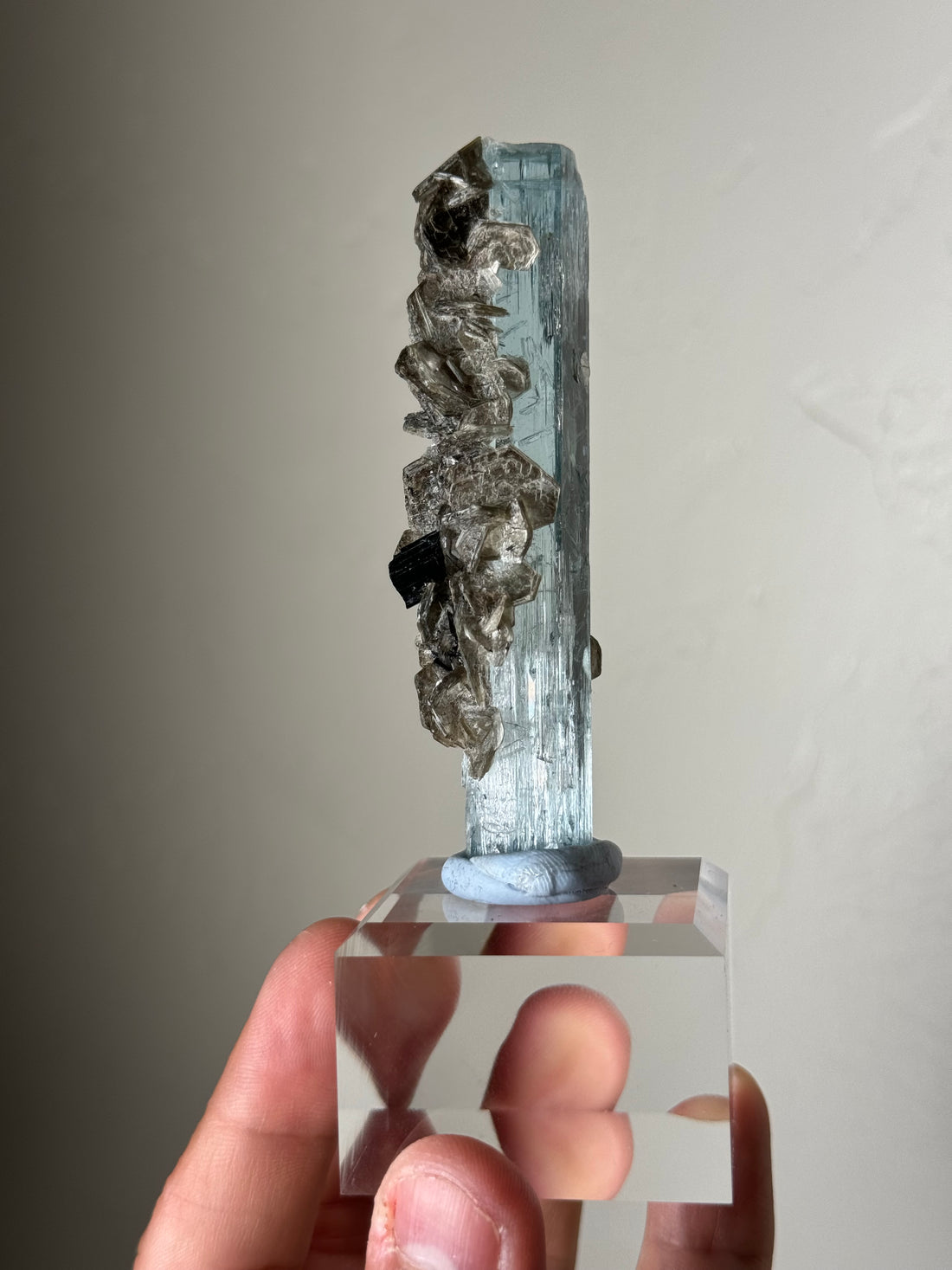 Aquamarine with tourmaline and muscovite