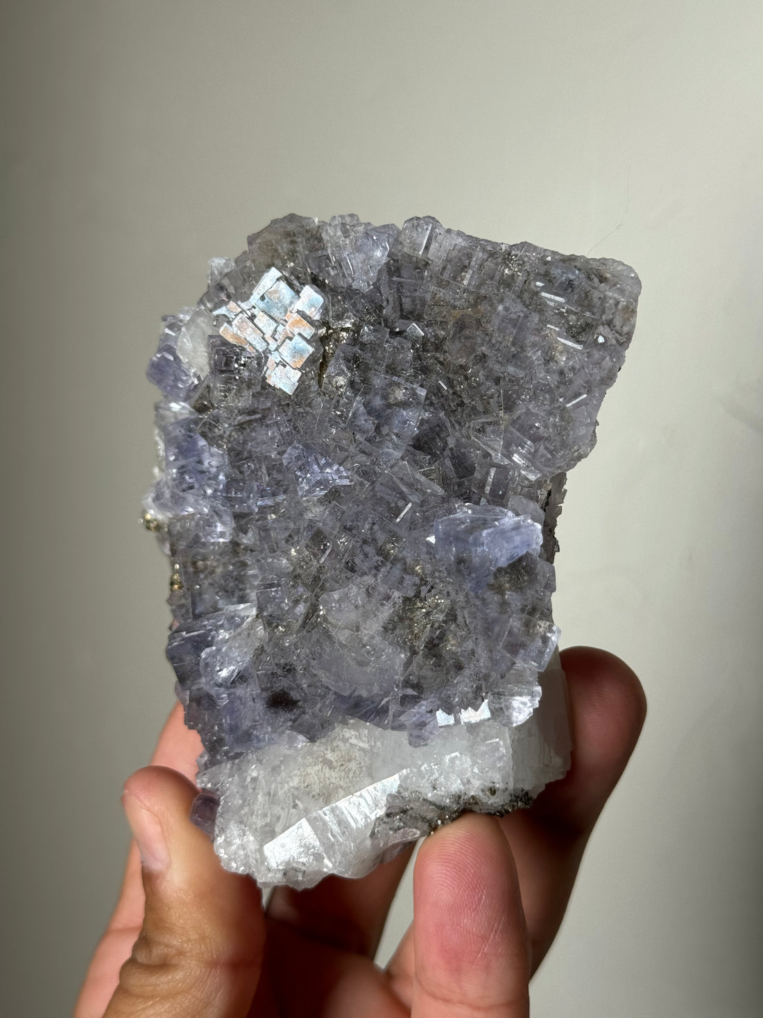 Fluorite & Pyrite (Spain)