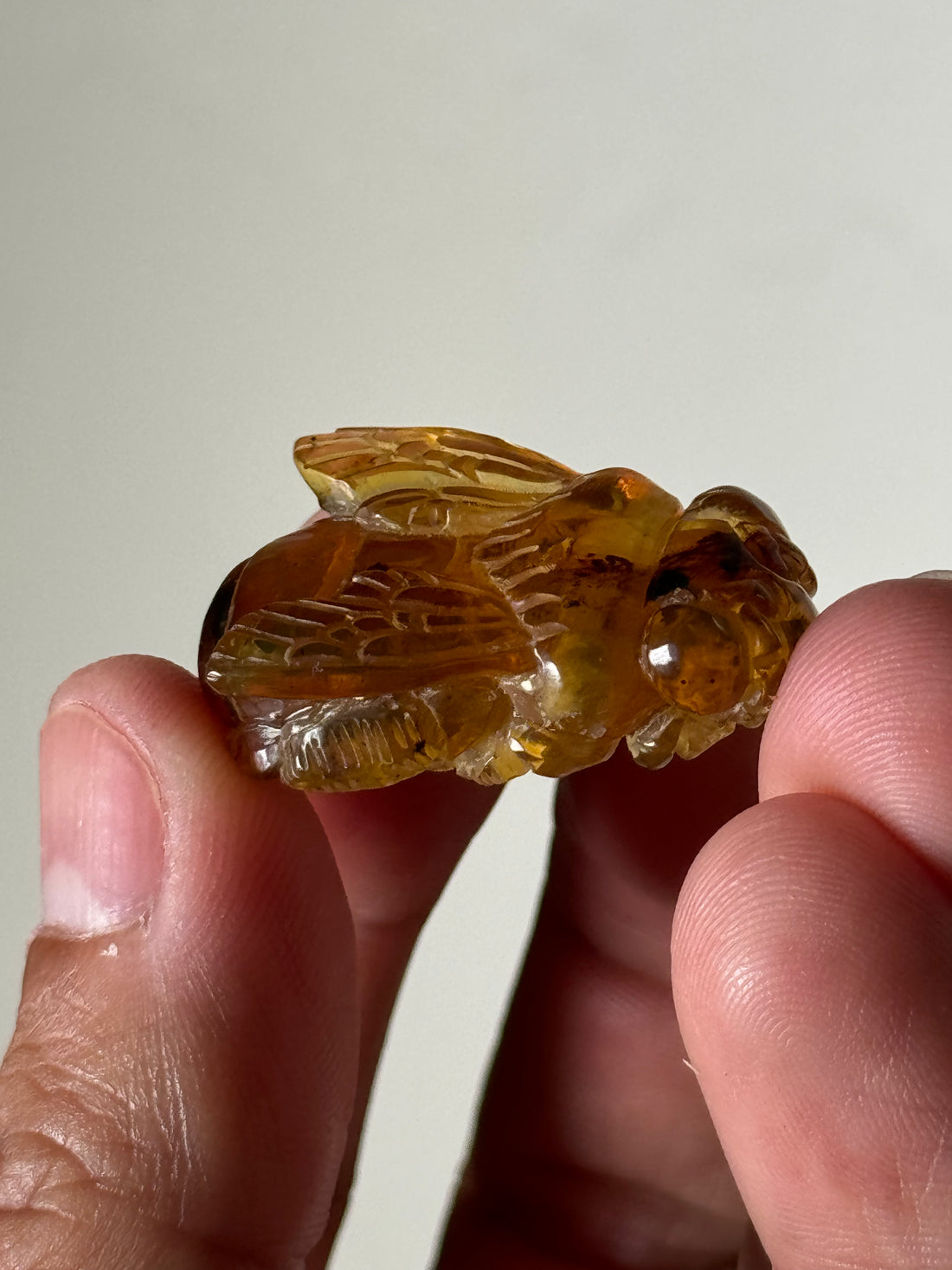 Amber Queen Bee