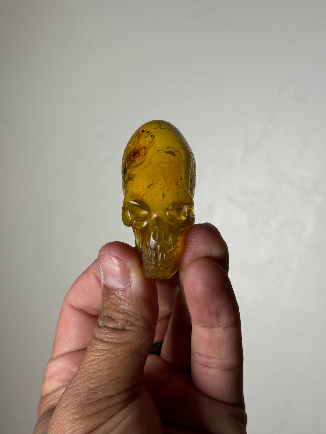 Paracas Peru Amber Elongated Skull (Chiapas, Mexico)