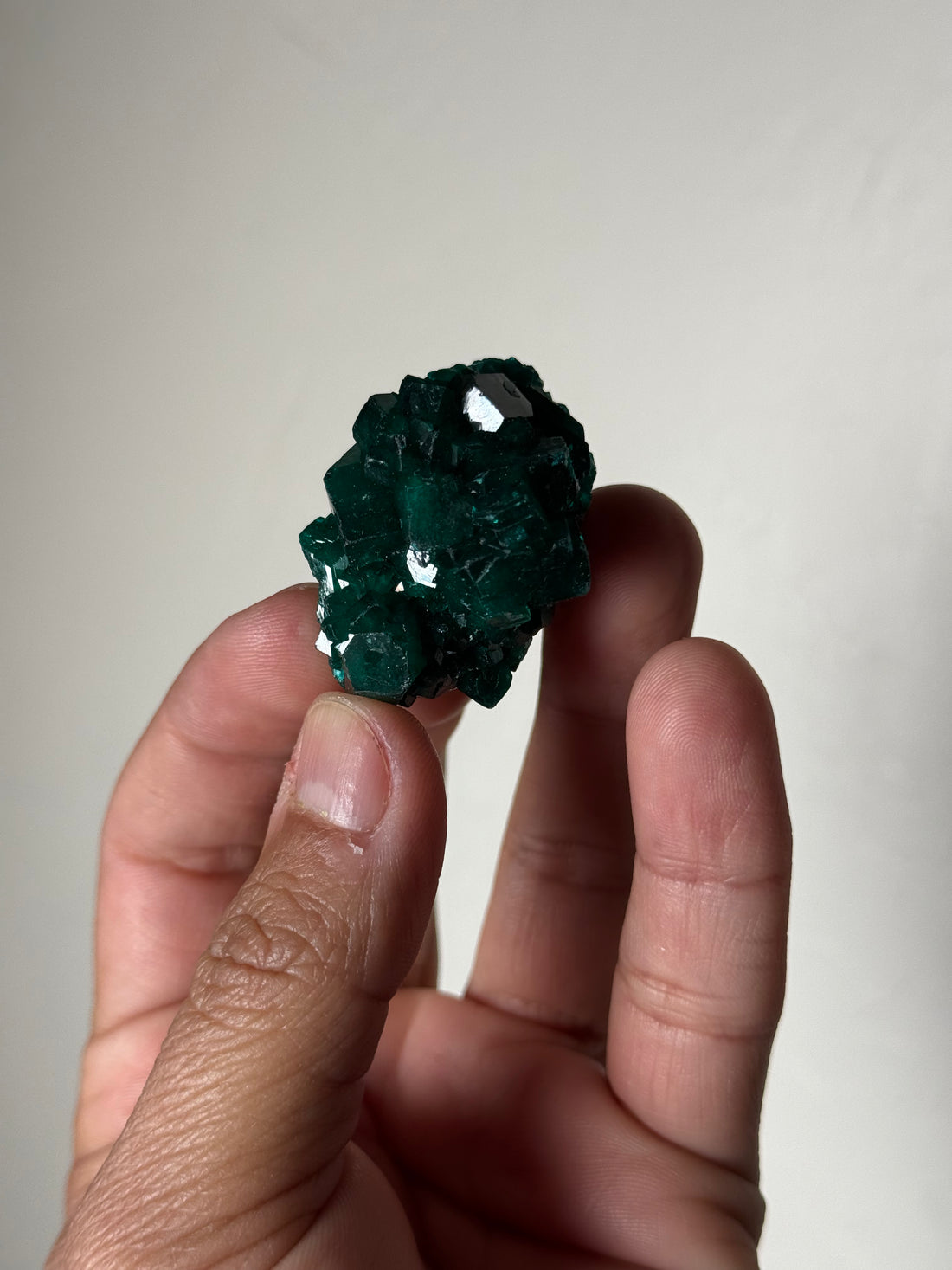 Dioptase (Monte Casino, South Africa)