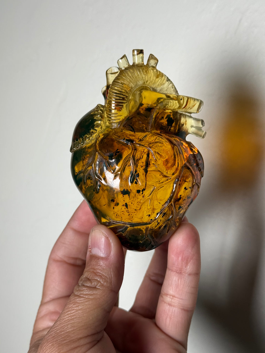 Amber Anatomical Heart (Chiapas, Mexico)