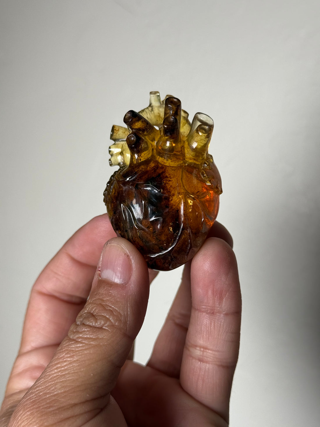 Amber Anatomical Heart (Chiapas, Mexico)