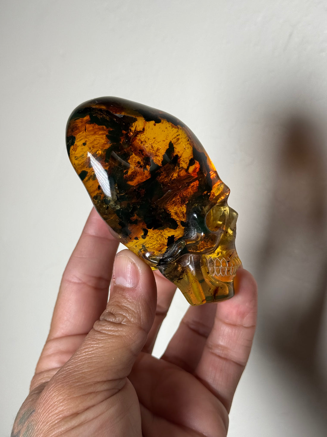 Amber Paracas Skull (Chiapas, Mexico)